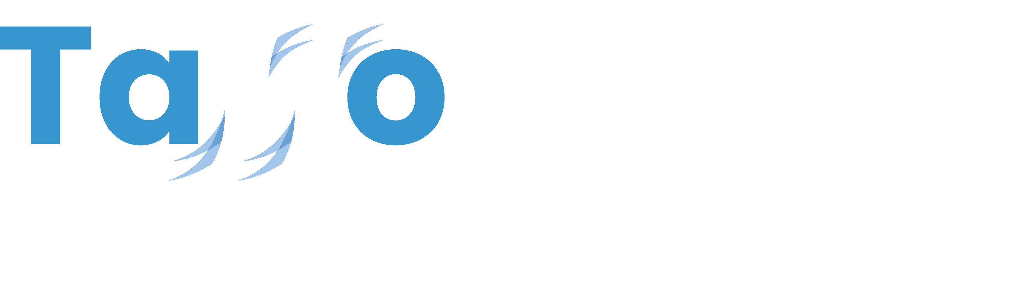 TassoQuinto logo