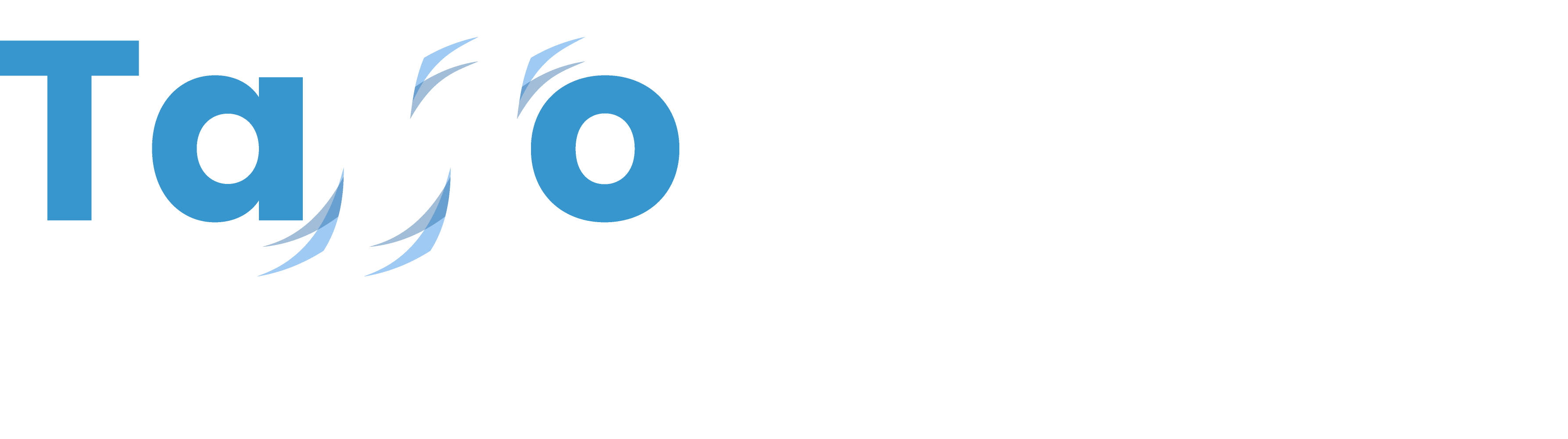 TassoQuinto logo